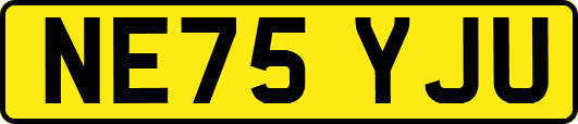 NE75YJU