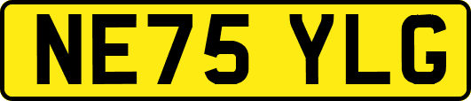 NE75YLG