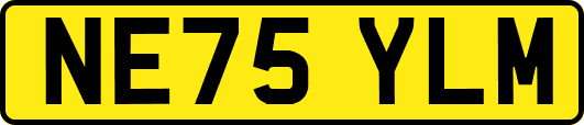 NE75YLM