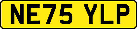 NE75YLP