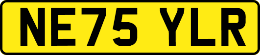 NE75YLR