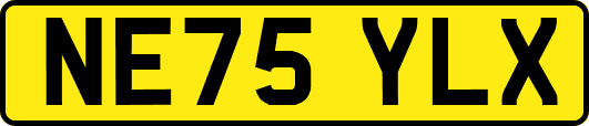 NE75YLX