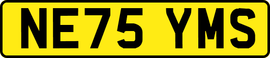 NE75YMS