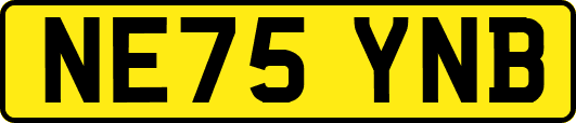 NE75YNB