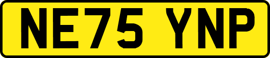NE75YNP