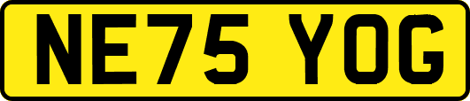 NE75YOG