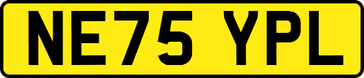 NE75YPL