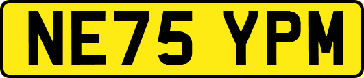 NE75YPM