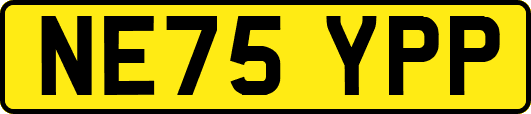 NE75YPP