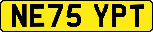 NE75YPT