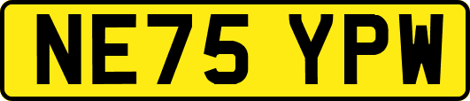 NE75YPW
