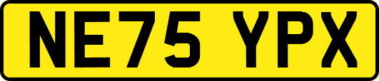 NE75YPX