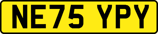 NE75YPY