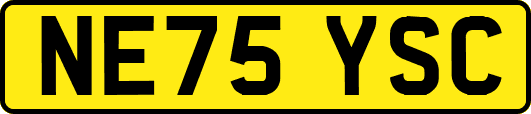 NE75YSC