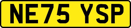 NE75YSP