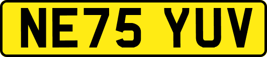 NE75YUV