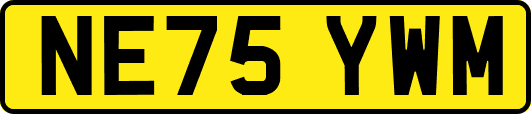 NE75YWM