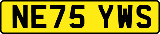 NE75YWS