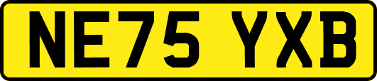 NE75YXB
