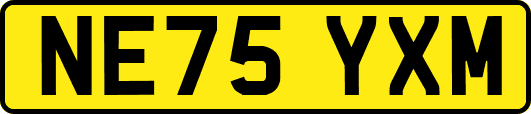 NE75YXM