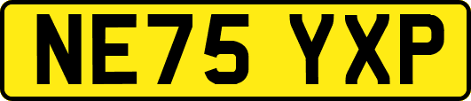 NE75YXP