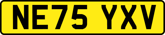 NE75YXV
