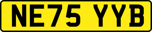 NE75YYB