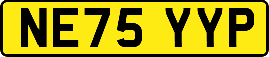 NE75YYP