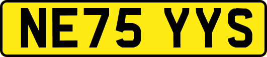NE75YYS