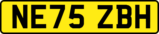 NE75ZBH