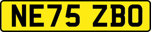 NE75ZBO