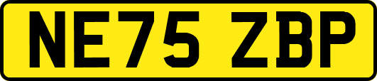 NE75ZBP