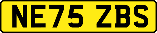 NE75ZBS