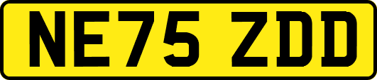 NE75ZDD