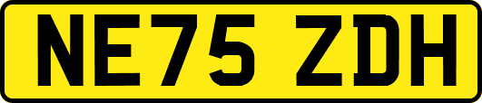 NE75ZDH