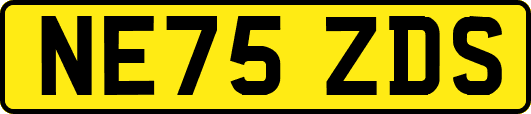 NE75ZDS