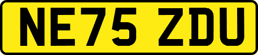 NE75ZDU