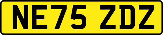 NE75ZDZ