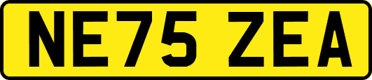 NE75ZEA