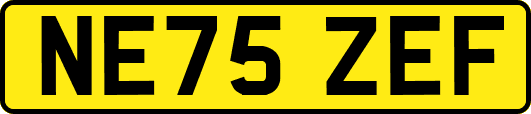 NE75ZEF