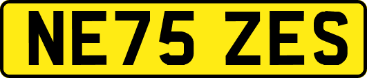 NE75ZES