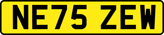 NE75ZEW