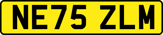 NE75ZLM