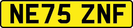 NE75ZNF