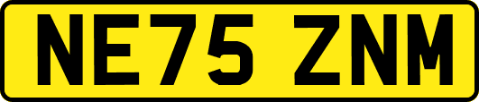 NE75ZNM