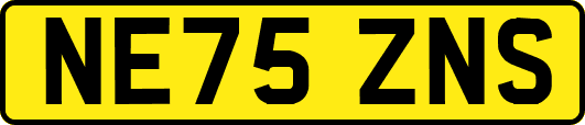 NE75ZNS