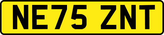 NE75ZNT