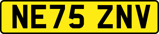 NE75ZNV