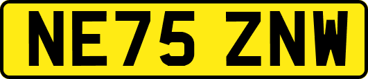 NE75ZNW