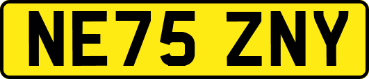 NE75ZNY